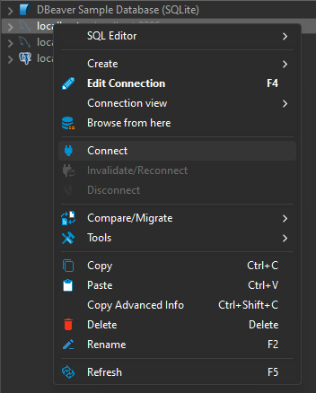 connect your db
