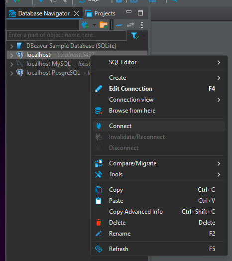 connect your db