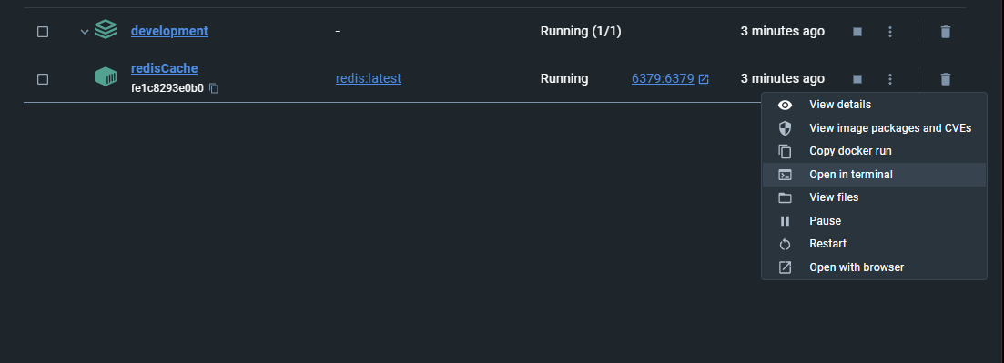 click Open in terminal